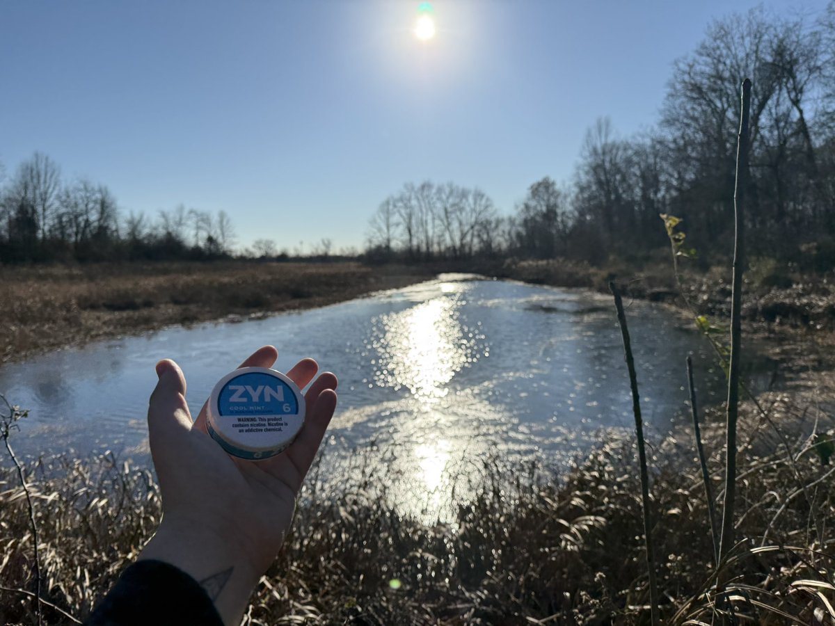 steezoll's tweet photo. nature is beautiful https://t.co/eteOJhNT3s