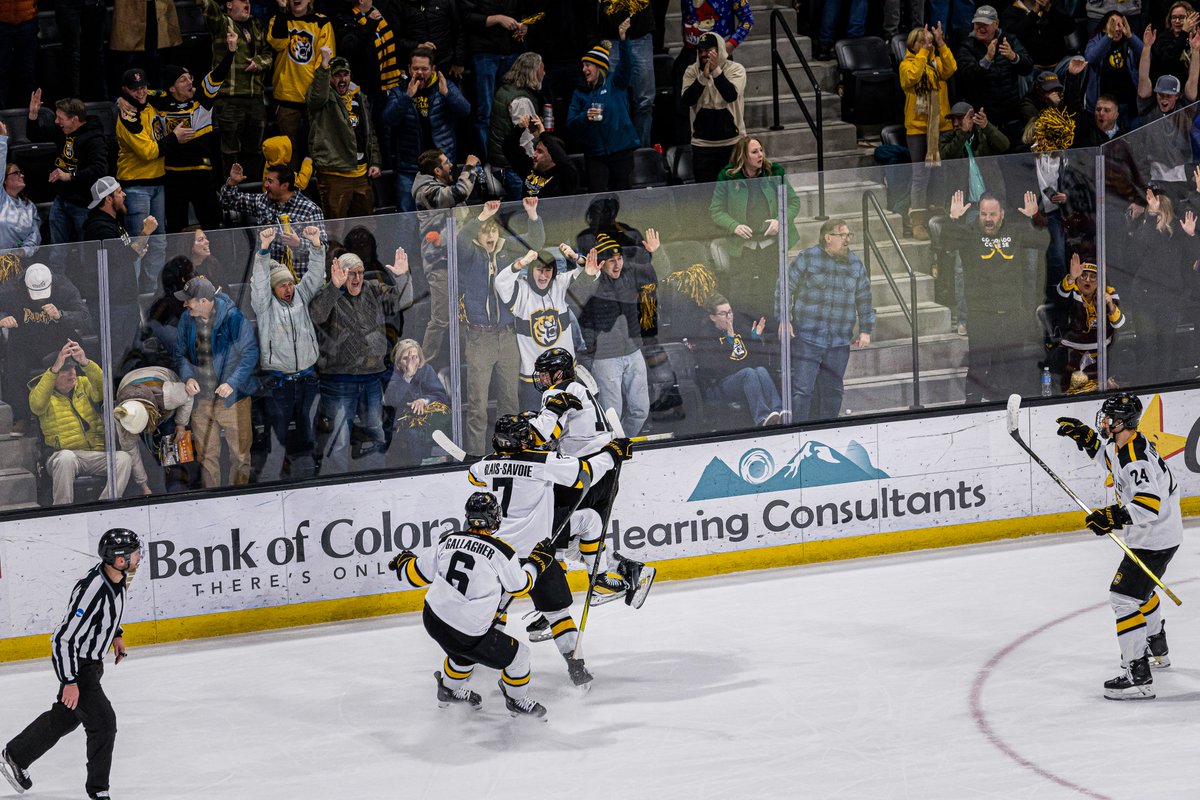 CCTigerHKY's tweet photo. All the vibes✨

#CCTigers https://t.co/uPlq7LbPAu