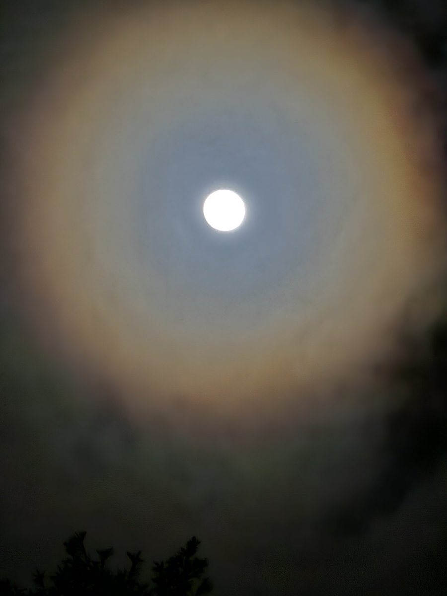 ChitwanAr's tweet photo. Almost #fullmoon #Ottawa #nofilter 
#shotonsamsung https://t.co/NirMUYzuTT