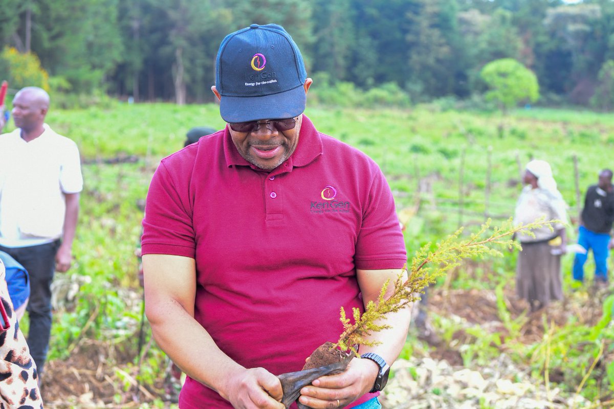 KenGenMDandCEO's tweet photo. Accompanied by #TeamJenGa, I joined the CS, @EnergyMinK, and the Narasha Community Forest Association (CFA), in a tree planting exercise at Narasha Forest where we have, to date, planted 218,000 indigenous trees. #JenGaKenGen
#SustainableKenGen https://t.co/oeWb3VVHCP
