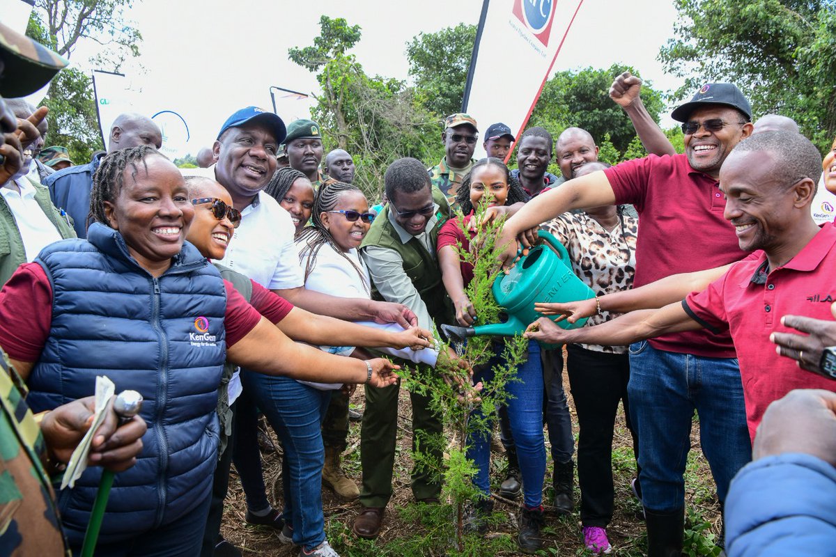 KenGenMDandCEO's tweet photo. Accompanied by #TeamJenGa, I joined the CS, @EnergyMinK, and the Narasha Community Forest Association (CFA), in a tree planting exercise at Narasha Forest where we have, to date, planted 218,000 indigenous trees. #JenGaKenGen
#SustainableKenGen https://t.co/oeWb3VVHCP