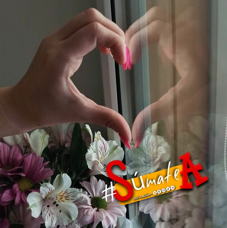 LeinayElPinero's tweet photo. #SumateA d♥️Conmigo defender las causas de nuestra Revolucion , ha amarla y a quererla de♥️
#DeZurdaTeam
#IzquierdapmPinera https://t.co/iXcUhiaGPW