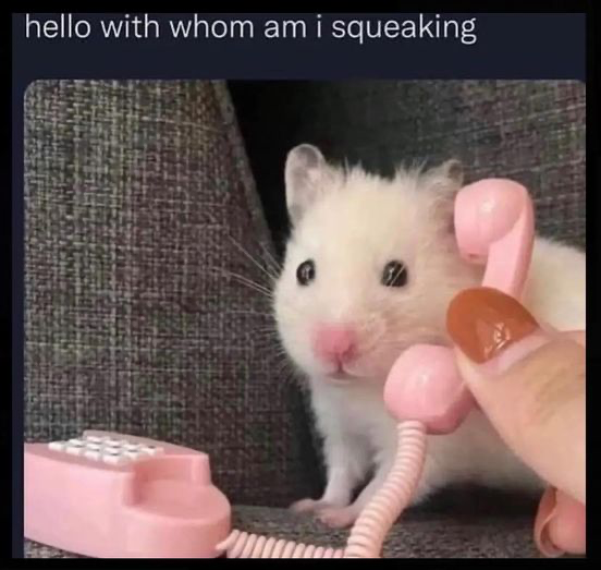WholesomeMeme's tweet photo. https://t.co/Iwf2q5l3qa