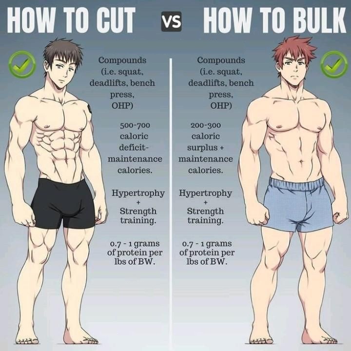 FitnessGuide0's tweet photo. How to CUT vs. How to BULK https://t.co/obkOraJIKq
