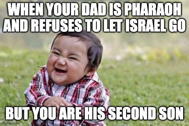 😂