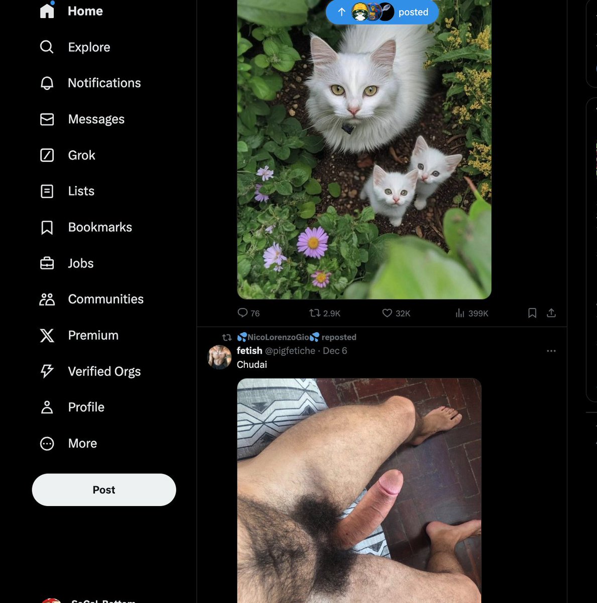 DHSBottom's tweet photo. My timeline: Cats and Cocks. All that matters to me. https://t.co/vs6P2HKE22