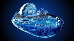 julosheels's tweet photo. 🎉 Excited to share my latest transaction in Poland 🌍

🖼️ Check it out here: https://t.co/01ss2jUgop

#Celldifferentiation #Nucleoplasm #Meiosis #Krebscycle #Transcription #3d #biology #ai #cell #medical #mitochondria https://t.co/xtJqxNbZhw