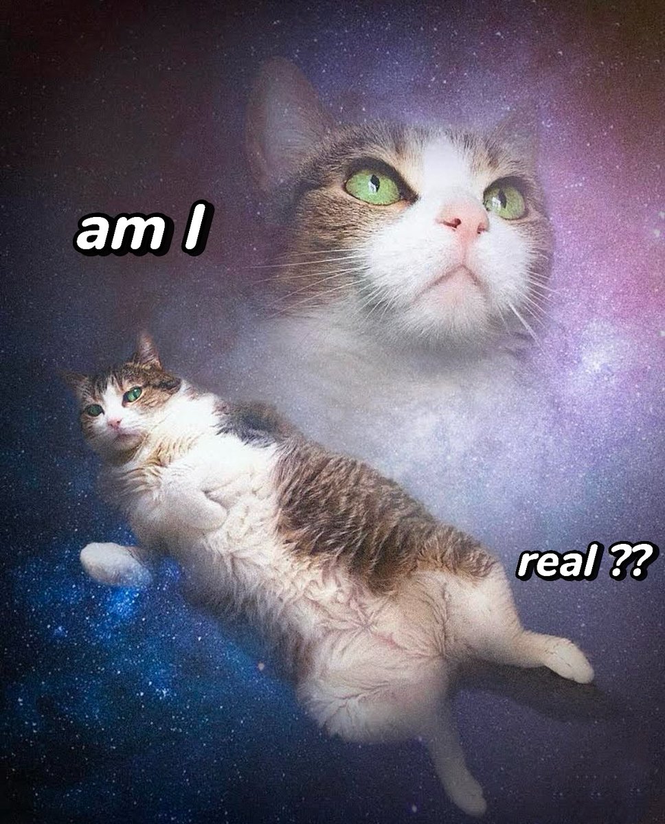 thecatesthetic's tweet photo. https://t.co/4QW0ddXLts