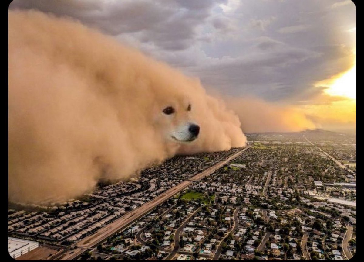 teslaownersSV's tweet image. .@doge was inevitable