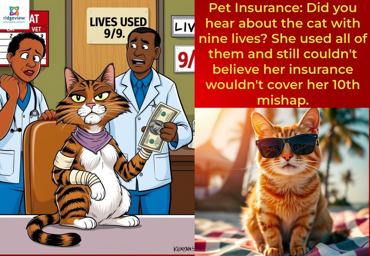 RidgeViewGZ's tweet photo. Pet Insurance: Ever hear about the cat with nine lives? 🐱 She used them all up and STILL couldn’t believe her insurance didn’t cover her 10th tumble.
#RidgeViewInsurance #dependabledirectdedicated https://t.co/iyUTufWU5v