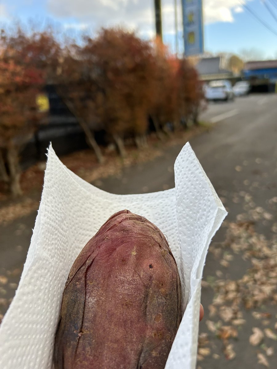 w31_ons's tweet photo. リハビリがてら
タグフィッシュを釣りに！2h
腰を気遣い、ほどほどに撤退。
魚を釣れますが、🏷️釣れず！😵
『残念！
芋食って屁して寝ます     以上😼』 https://t.co/6ucMYs92kN
