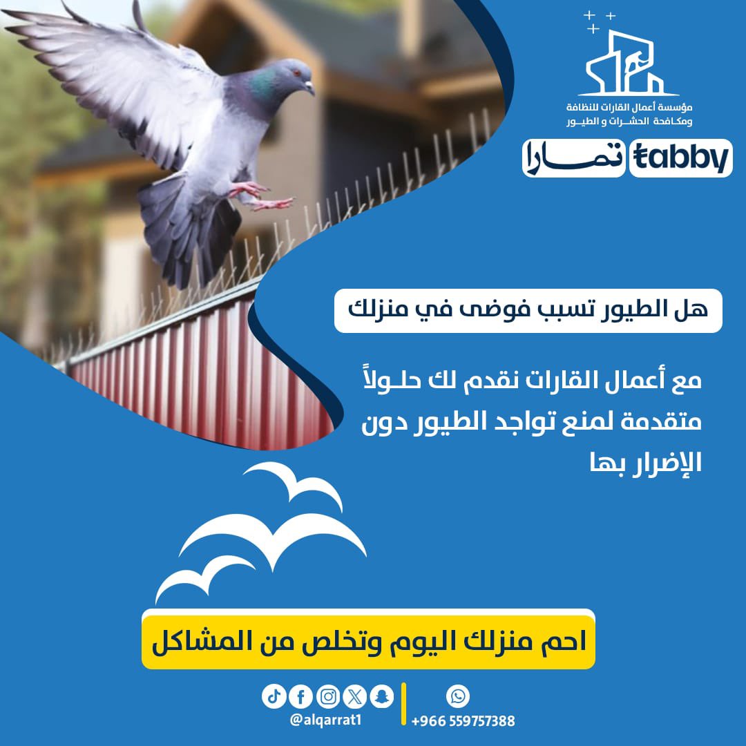 alqarrat1's tweet photo. مع اعمال القارات 
مكافحة الطيور طارد الطيور والحشرات 
نظافة الواجهات - الفلل 
غسيل الفرشات - الكنب - الستاير - المكيفات- الخزانات العلويه والأرضية - جلي الارضيات 

مبيدات حشريه بانواعها 
والنمل الابيض [الارضه]  

افراد- شركات - جهات حكوميه

للحجز الاتصال 

 0559757388 https://t.co/s4pe4gEzH5