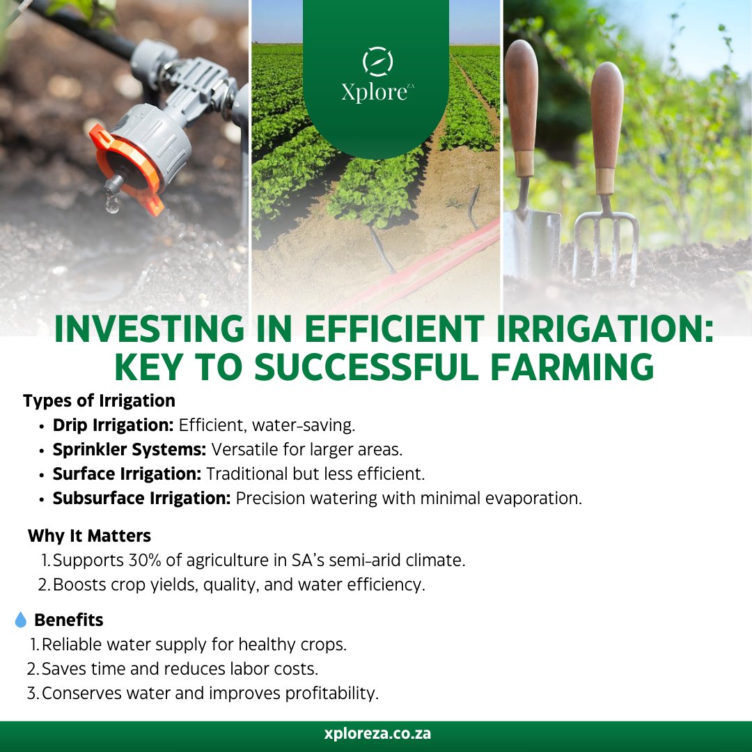XplorZA's tweet image. Want to boost your farm's productivity while saving water? 🌱 Read the full article now-xploreza.co.za/investing-in-e…

#EfficientFarming #SustainableAgriculture #SmartIrrigation #XploreAgri