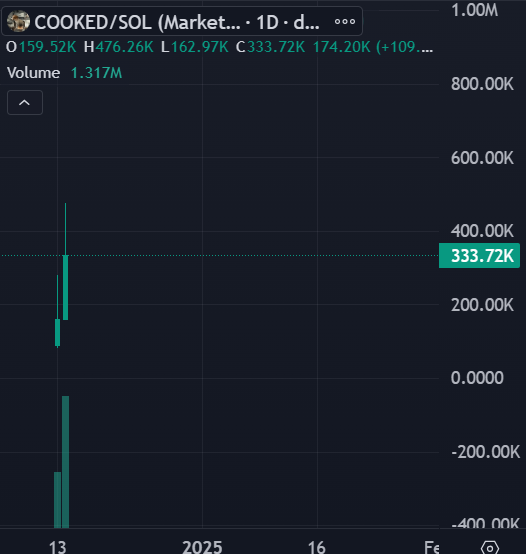 this_is_COOKED's tweet photo. @GodsBurnt @phnix_xrp You never know what else is flying and gettin $cooked https://t.co/D61ToLZQKd