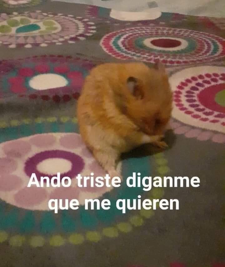 Pensamientos tweet media