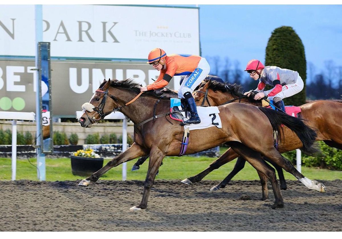 She’s Centimental runs today <a href="/WolvesRaces/">Wolverhampton Races</a> for <a href="/MickApplebyUK/">Mick Appleby Racing</a> with George Buckell taking the ride . Good luck to her owners .