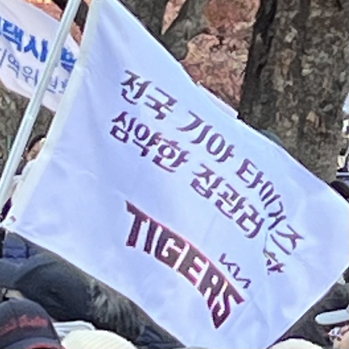 갸수저🐯 tweet media