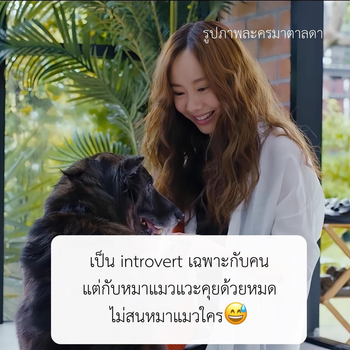 ใครสักคนกล่าวไว้ (@imesayit) on Twitter photo 
