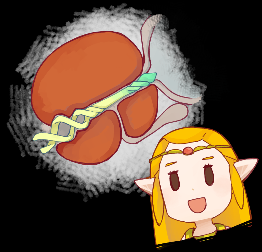 ようやく触れたんですが…
これは違う姫様とわかっていても私の心が著しく汚れているばっかりに… 