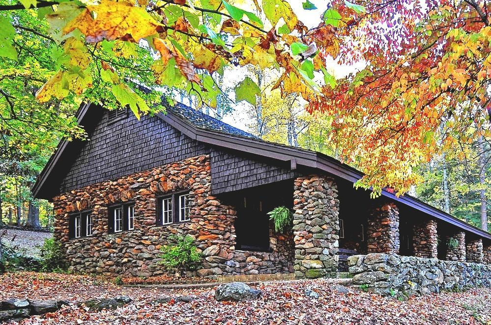 Solomon's Landscape & Design tweet media