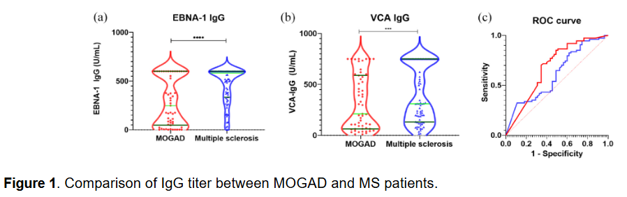 MSJ (@msj_research) on Twitter photo Epstein-Barr virus #EBV antibodies had different levels in people with #MultipleSclerosis and #MOGAD, suggesting a possible different role in the pathogenesis of the two conditions.
Study from <a href="/SaraMariottoMD/">Sara Mariotto</a> <a href="/UniVerona/">Università di Verona</a> ▶️ journals.sagepub.com/doi/abs/10.117… Epstein-Barr virus #EBV antibodies had different levels in people with #MultipleSclerosis and #MOGAD, suggesting a possible different role in the pathogenesis of the two conditions.
Study from <a href="/SaraMariottoMD/">Sara Mariotto</a> <a href="/UniVerona/">Università di Verona</a> ▶️ journals.sagepub.com/doi/abs/10.117…