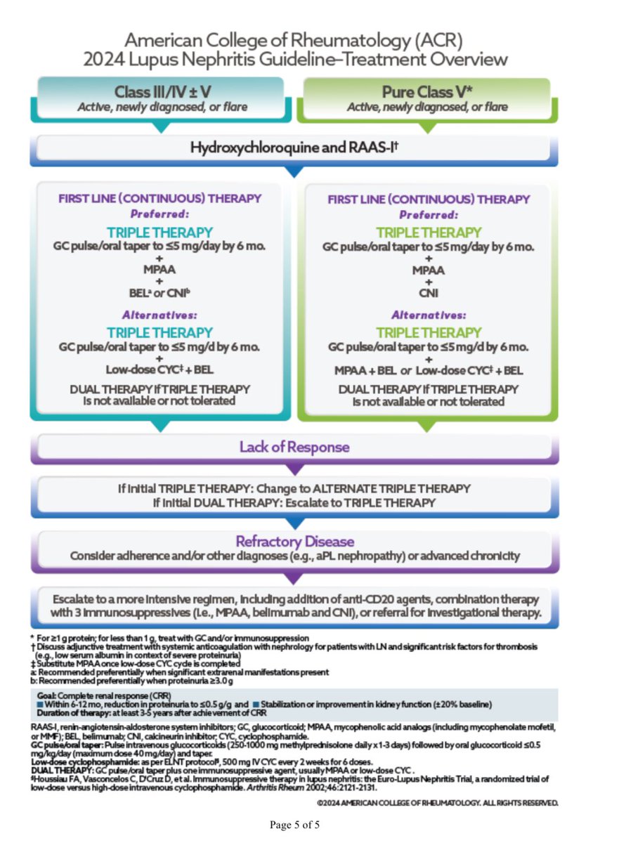 RheumQuarterly's tweet photo. 2024 American College of Rheumatology (ACR) #Guideline for the Screening, #Treatment, and #Management of #Lupus #Nephritis #sle @firatromatoloji @degirmenciberk2 @NeslihanGken7 @Nurullah_Akkoc @LastManStand85 @Lupusreference https://t.co/rRbulwi3z2