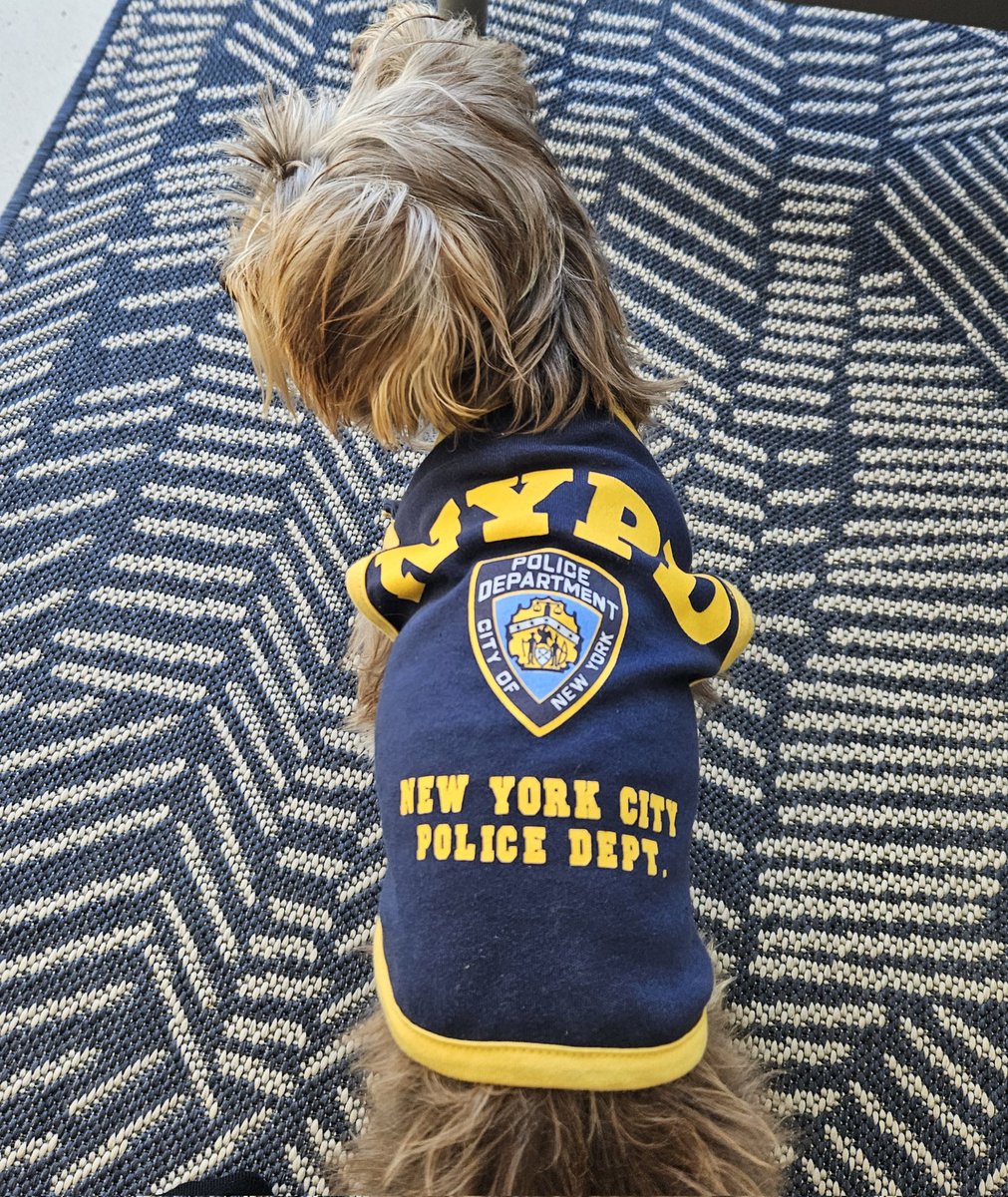 kevinrjacobs's tweet photo. My friend was knocked off his bike on Woodstock bike path this morning. Fortunately, only a cellphone stolen and scratches to bike+body. Seriously, do I need to take my dog with me for safety?! Permanent  security is needed at that spot. @alanwinde @geordinhl https://t.co/rcXplTklqd