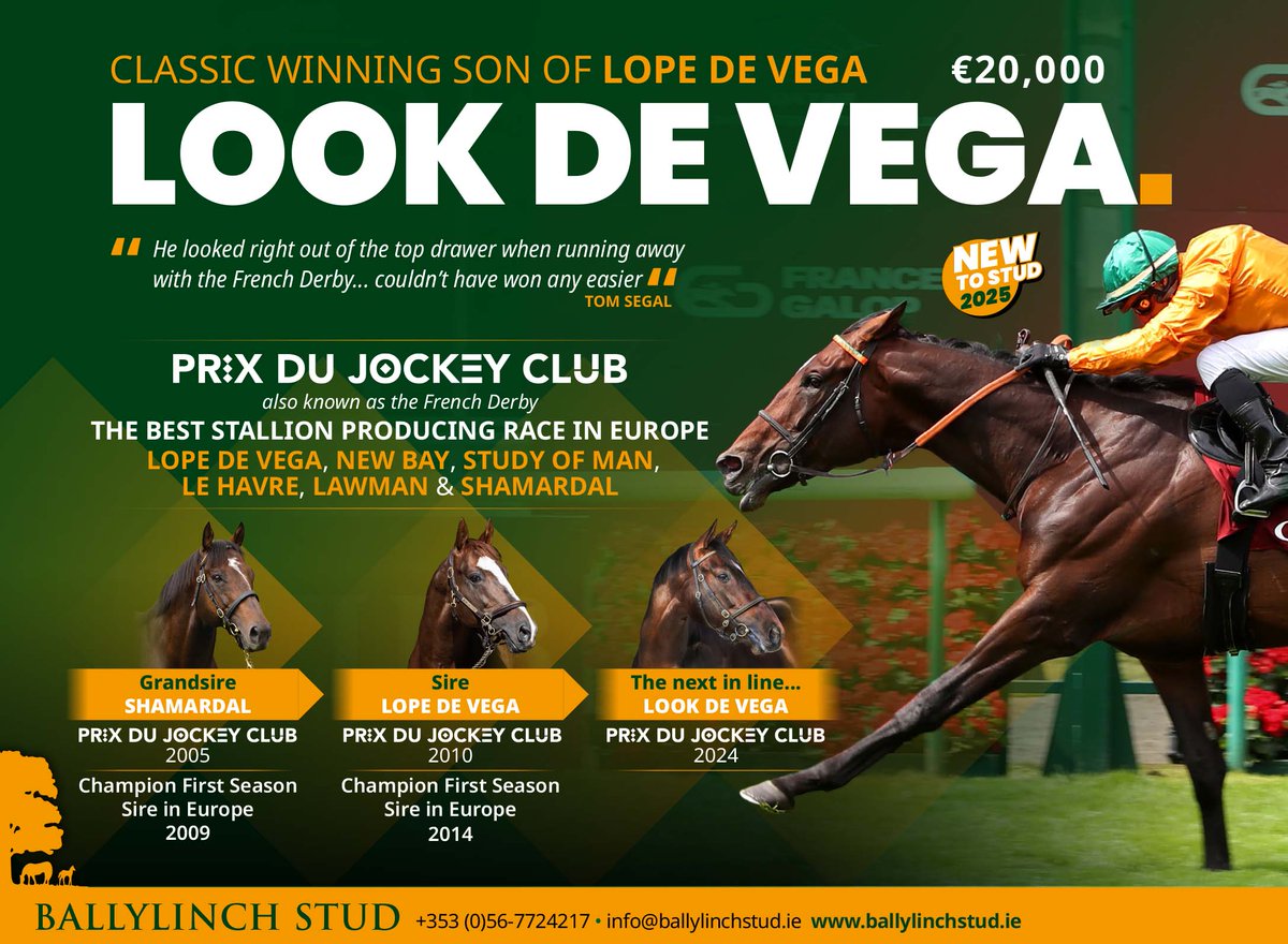 🔶 <a href="/BallylinchStud/">BallylinchStud</a>'s LOOK DE VEGA - New for 2025 🔶

"He looked right out of the top drawer when running away with the French Derby... couldn’t have won any easier" Tom Segal

✅ Shamardal - Champion FSS
✅ Lope De Vega - Champion FSS
✅ LOOK DE VEGA - next in line 
FEE: €20,000