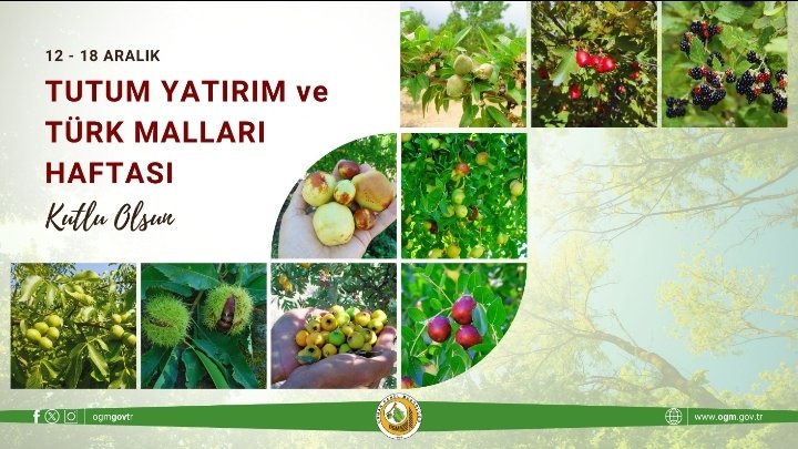 Tohumdan fidana, fidandan berekete uzanan yatırım. 🌱🌳

12-18 Aralık Tutum, Yatırım ve Türk Malları Haftası'nı kutluyoruz. Gelir getirici türlerimizle #YeşilVatan' in bizlere sunduğu zenginliklere sahip çıkıyor, geleceğe değer katıyoruz. 💚

#OrmanVatandır
#GeleceğeNefes