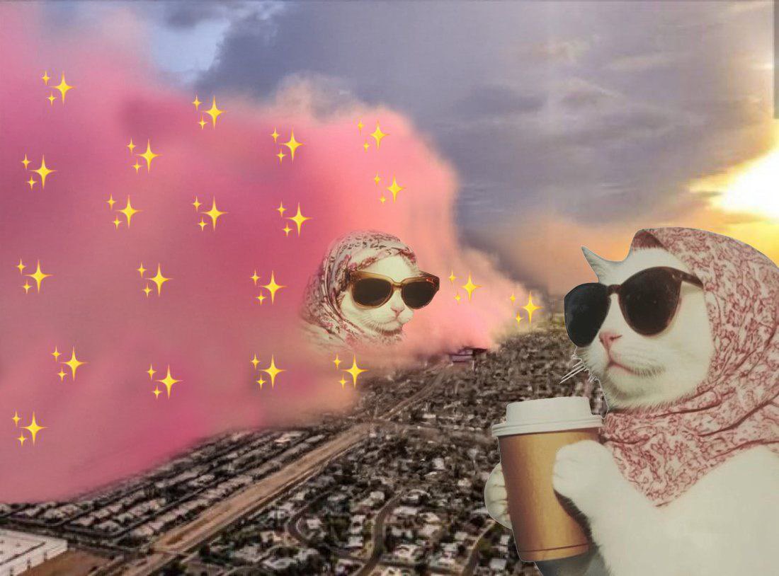 PrimeMinisterV's tweet photo. @ShouldHaveCat The most $glam-tastic cat in the universe! 

CA:
73rzMJ8uEqjAf5vE1YPGrXbg7Cb2Yv85EoxpJh2mpump https://t.co/0Aw6GIgV5S