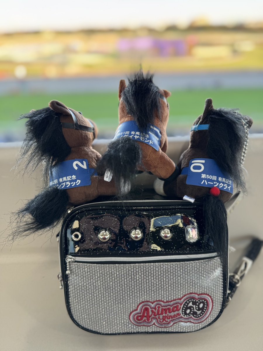 nakayama_owners's tweet photo. 【2024.12.22.
　有馬記念（グランプリ）】
アイドルホースとアンプ型バックのセットを１名様にプレゼント。
　
【応募期間・条件】
12月19日（木）23:59迄
①@nakayama_owners のフォロー
②このポストを引用リポスト
当選者には📩します
　
#中山馬主協会
#ターフィーショップ
#中山競馬場 https://t.co/i4y36onmFW