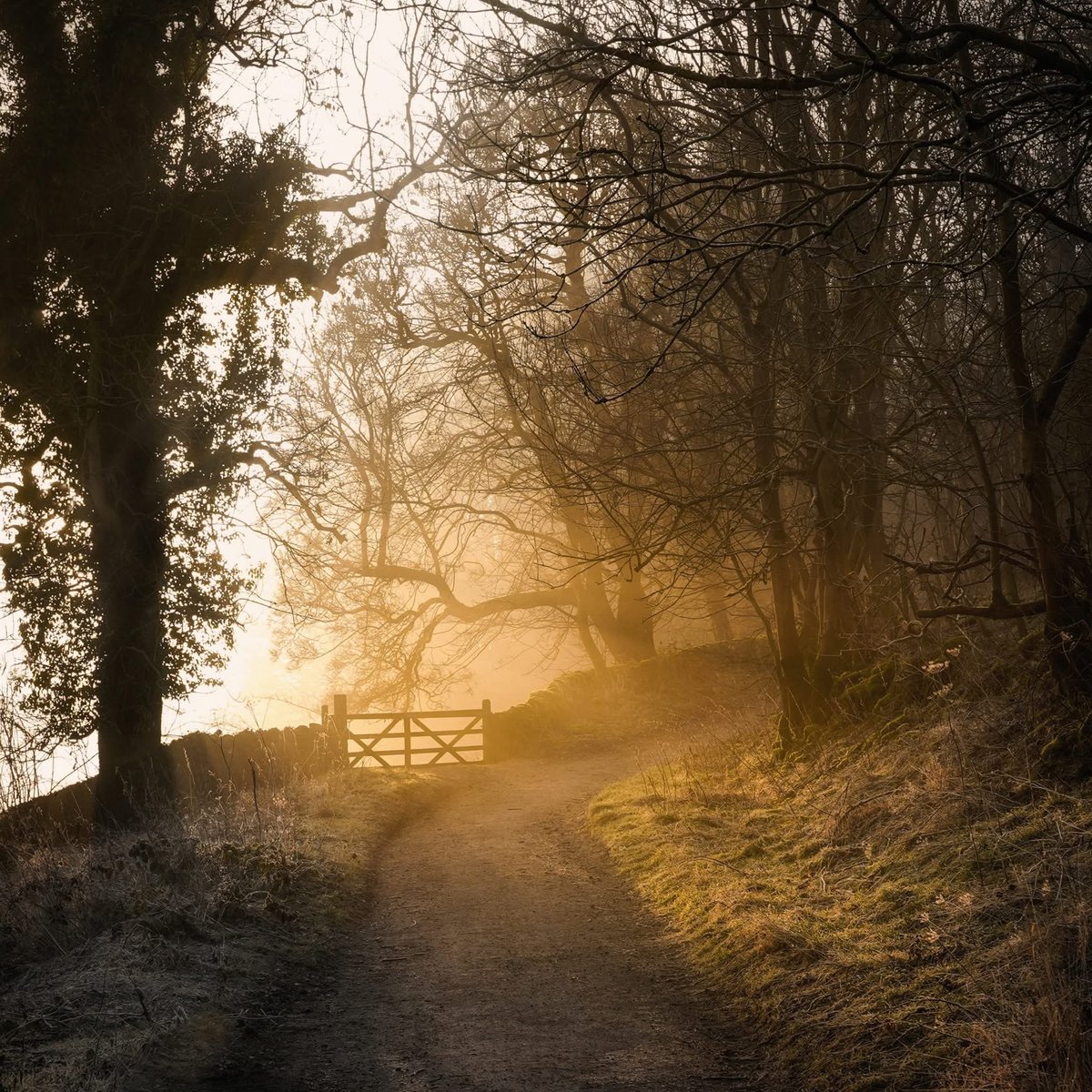 peaklass1's tweet photo. Sometimes it doesn't matter where the road leads. All that matters is the first glimpse of daybreak rushing up the valley and trickling along the verges to light up the hedgerows. Sometimes all that matters is the spring in your step as you walk up the hill to meet the morning. https://t.co/2YH3pjL9F4