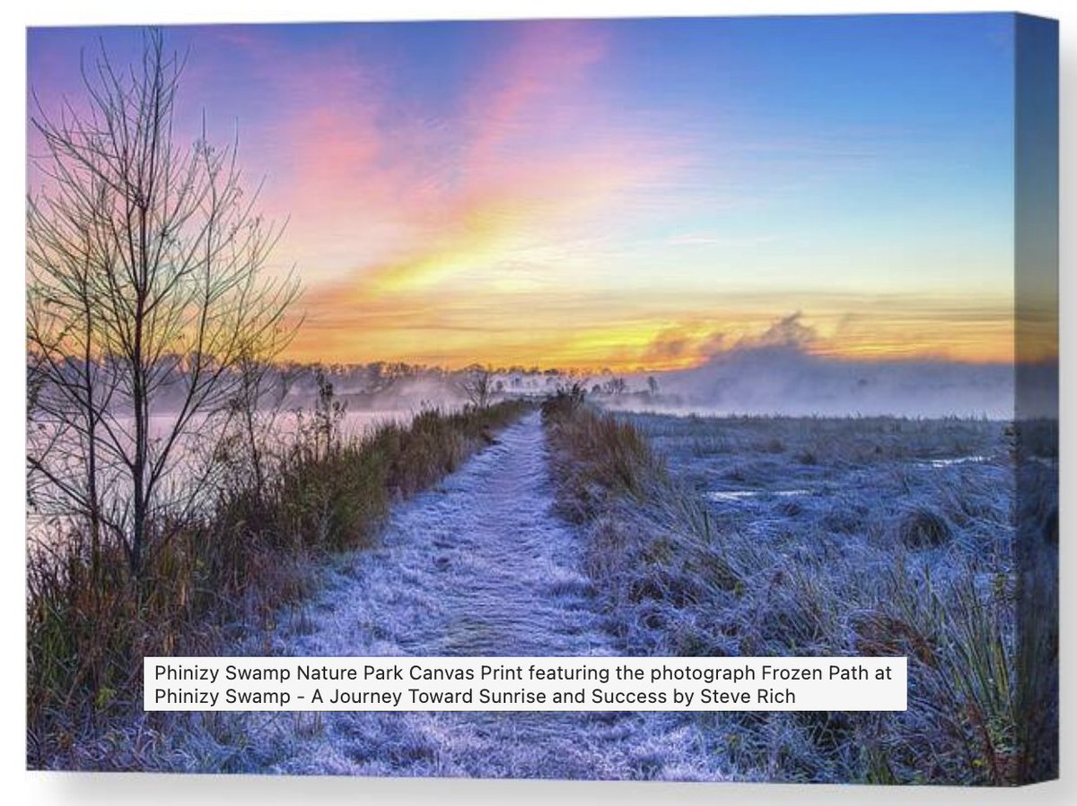 SteveRich_Photo's tweet photo. Frozen path at Phinizy Swamp Nature Park in Augusta, Georgia
https://t.co/Aj1xjYYOjj
#PhinizySwamp #NaturePhotography #FrozenPath #WinterLandscape #SunriseGlow #AugustaGeorgia #NatureInspiration #FrostyTrails #GrassyPath #MorningTranquility #ExploreNature #ScenicViews https://t.co/3UTq7rBDOT