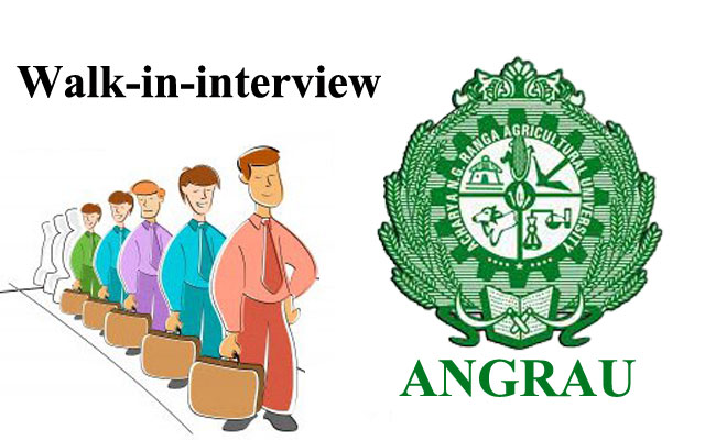 sakshibhavita's tweet image. Walk-in-Interview In ANGRAU: టీచింగ్‌ అసోసియేట్‌ పోస్టుల కోసం నోటిఫికేషన్‌.. డైరెక్ట్‌ ఇంటర్వ్యూతో ఉద్యోగం
education.sakshi.com/faculty-and-no…

#Jobs2024 #latestjobs #latestjobnotifications #jobnotificationslatestnews #apjobnews #JobNewsTeachingAssociate #TeachingAssociatesjobs…