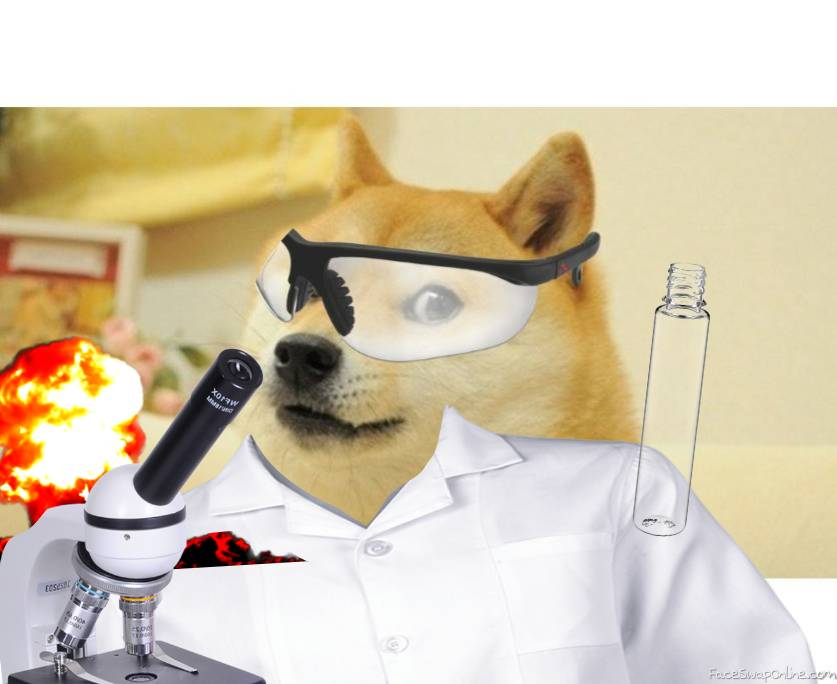 DNADOGE's tweet photo. Cryptoโs cutest experiment is LIVE! ๐พโจ
Are you part of the $DNADOGE family yet? ๐งฌ๐
#DNADOGE #DNA #DOGE #binance #SOL #ELONMUSK https://t.co/u3cpzF6mcL