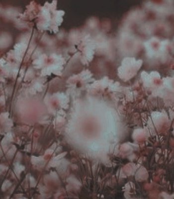 nevi_longbott's tweet photo. ⠀

       𝐒𝐨𝐦𝐞𝐭𝐢𝐦𝐞𝐬 I wish
       𝒔𝒐𝒎𝒆𝒐𝒏𝒆 out there 
                    𝑤𝑖𝑙𝑙 𝑓𝑖𝑛𝑑 𝑚𝑒.

–––––– Bᴏᴜʟᴇᴠᴀʀᴅ ᴏғ Bʀᴏᴋᴇɴ Dʀᴇᴀᴍs. 

⠀ https://t.co/UnH6pZz4mW