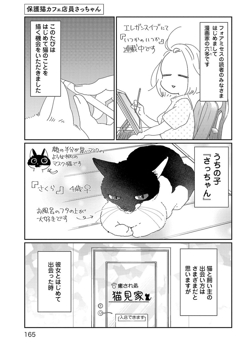 愛猫に出会うきっかけをくださった保護猫カフェ猫見家さんが1月7日をもって閉店が決まったそうでとても寂しいですが本当に良い保護猫カフェさんなので近くの方は最後にぜひ訪れてみてください