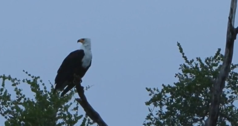 loveellisSwiss's tweet photo. Saturday morning drive!
#wildearth #followtheredLine https://t.co/xtOxv7YPn0