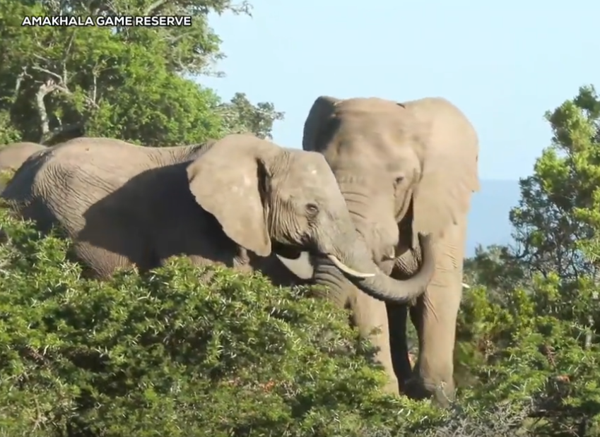 loveellisSwiss's tweet photo. Saturday morning drive!
#wildearth #followtheredLine https://t.co/xtOxv7YPn0
