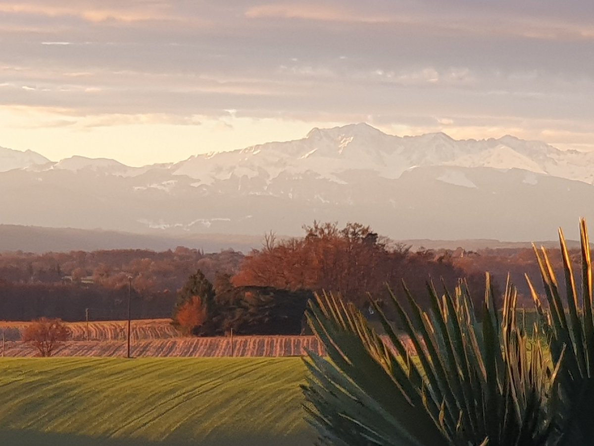 sarahbeattiegra's tweet image. #TheViewFromHere #RightNow also #RightMovehttps://heawood.substack.com/p/its-your-very-own-rightmove-roundup?fbclid=IwY2xjawG6YspleHRuA2FlbQIxMQABHaAMZvZNz0jng3r44DeRHFf9jAKN3lqraHd7yojsAv4yCXUPmC82A_8ySw_aem_Ke9U4xW1pCIoB_c4Evoidg