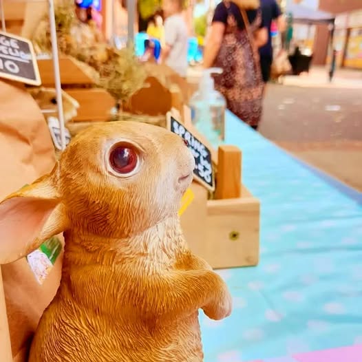 📷📷 Last push for this weekends markets as there is only 3 left for 2024 then the year is all wrapped up!
📷2024 was a big year for the gpw 📷
📷 60+ markets this year!
📷 20+ new products
📷 Lots of new friends made 📷📷
Hope to see you on the market for the final 3