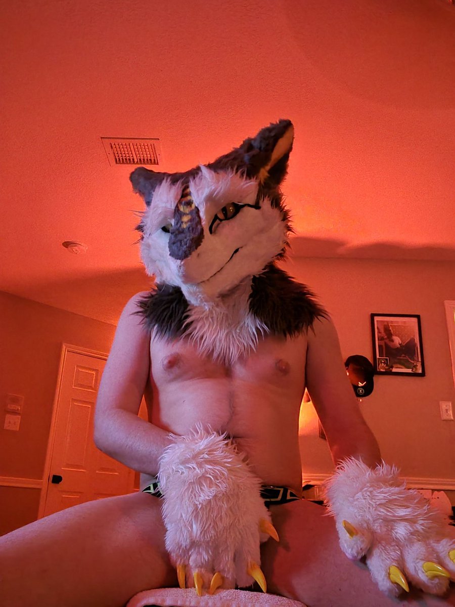 ManuthesergA's tweet photo. Who'd like to worship a sergal after a sweaty workout? >:3

Working out lately has gotten me in a mood to take more pictures, so maybe I will document my progress here through pictures such as this~ 

I would use a face to sit on after working out, or a face to stuff >:3 https://t.co/rhBczmVsdB