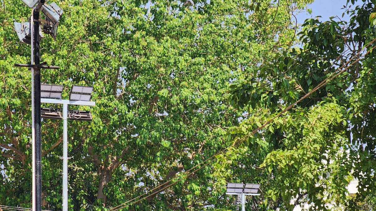 VeltroxL's tweet image. 250W LED Lens Flood Light💡

Waterproof and unbreakable lights aesthetically designed for outdoor purpose👍

For More Details Contact
VELTROX LED LIGHT
+91 7984 777 165

#veltrox #veltroxled #veltroxledlight #veltroxindustries #lights #ledlights #ledlightmanufacturer #floodlight