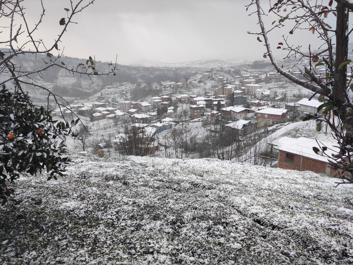 ak_belde's tweet photo. Hava bir türlü soğumadı, nerde yağmur, nerede kar derken, alın size   beyazlığı, saflığı, temizliği temsil eden kar geldi.
“Kar berekettir” derler. Dünya da üzerine kar yağan tek çay olan Rize çayı
#Kendirli
#AdemKöse https://t.co/eiEuENmB9A