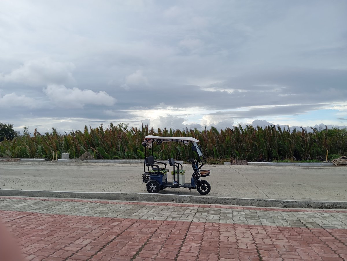 magicmire_'s tweet photo. Saturday Drive with Runebine (the bike) 🚲 🌊✨ #MayoraTheExplorer https://t.co/7oTPYOjsr1