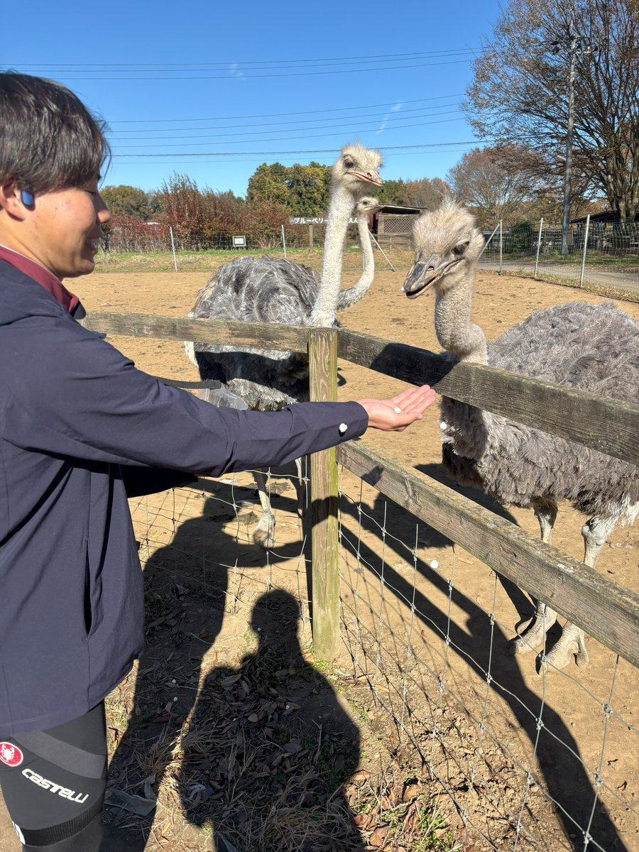 ／ 
ダチョウ王国ライドの活動報告を更新
＼

  ツーリング班は、12月1日に茨城県石岡市のダチョウ王国🦃🏰に行ってきました！大学からは25kmほどで、秋を満喫するにはちょうどいい👌餌やり体験では部員の手のひらが、ダチョウの餌食に、、、？

詳しくはHPをご覧ください！
qr.paps.jp/KNLFW