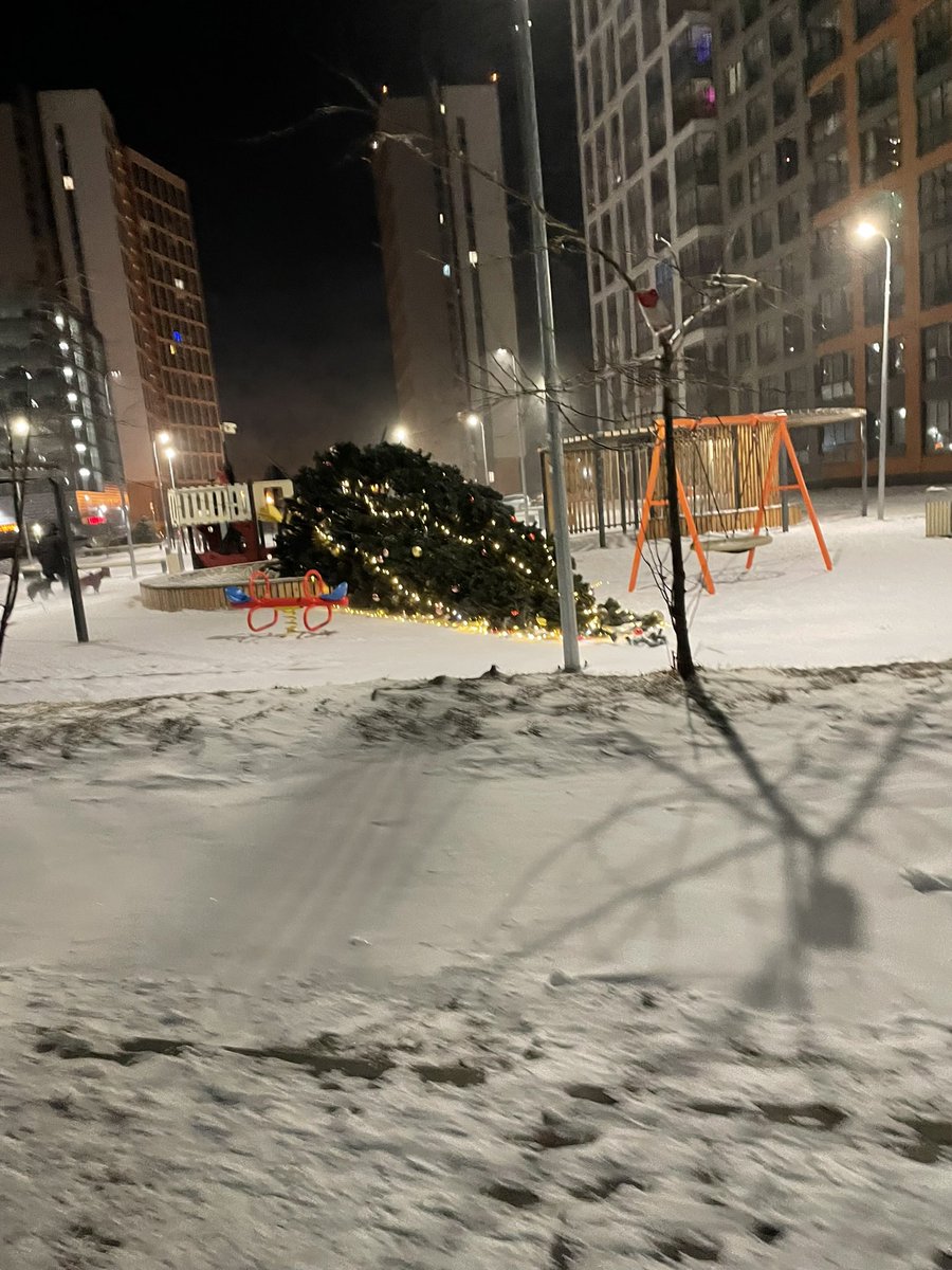 selingrimm's tweet photo. Ночью был настолько сильный ветер что аж елка во дворе упала https://t.co/ks00MiBeQ6