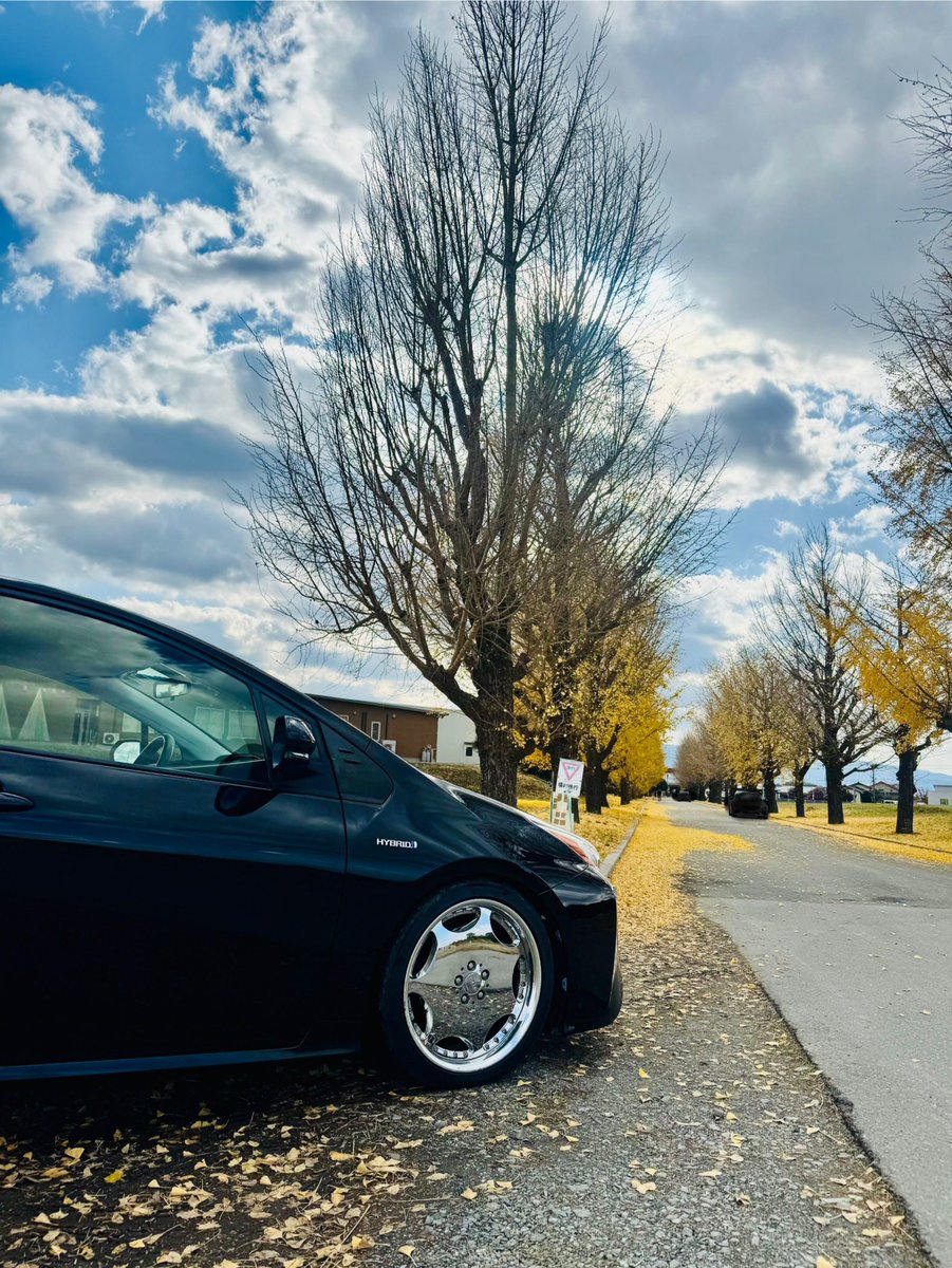 今年も行ってきました
ほぼ散ってた🍂
#50プリウス #ZVW50 
#朝倉農業高校跡地