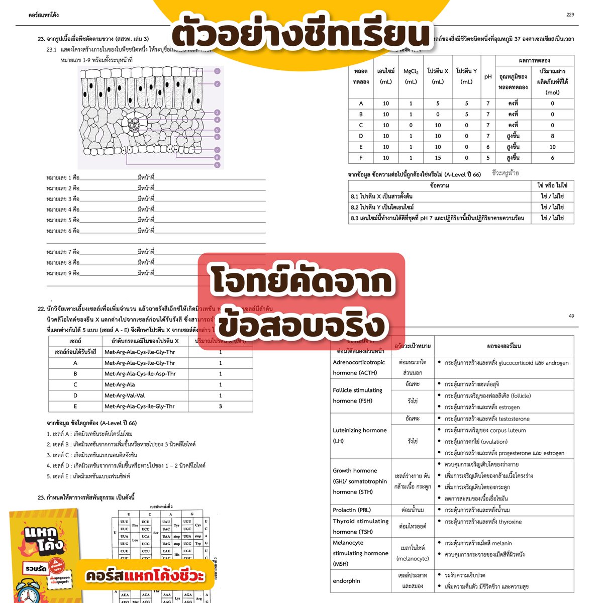 🚧คอร์สแหกโค้งชีวะ *700.-
รวบรัดที่สุด 🚨18 ชม.จบ 🚨

✅เนื้อหา ✅ข้อสอบ ✅เก็งจุดออก

*รับส่วนลดทันทีเมื่อสมัครพร้อมเพื่อน
👉🏻https://t.co/NOH6yDweN2

#ชีวะครูฝ้าย #Dek68 #เด็กซิ่ว #ALevelชีวะ #TCAS68 https://t.co/g1mga4dPx4