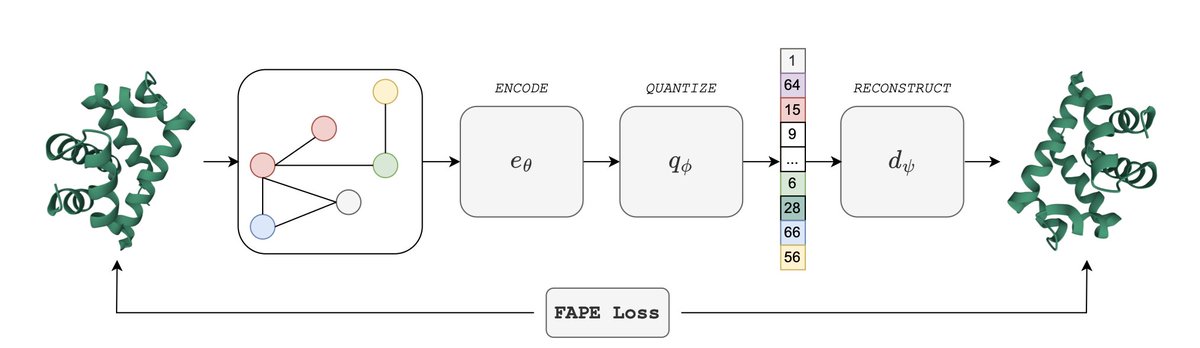 Learning the Language of Protein Structure

• A novel approach to protein structure modeling: this study introduces a vector-quantized autoencoder (VQ-AE) to transform continuous protein structures into discrete representations, enabling the use of natural language processing